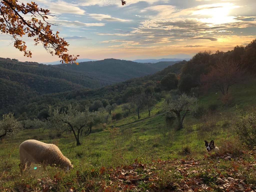 Nocini Di Maremma Villa Tatti Exterior foto