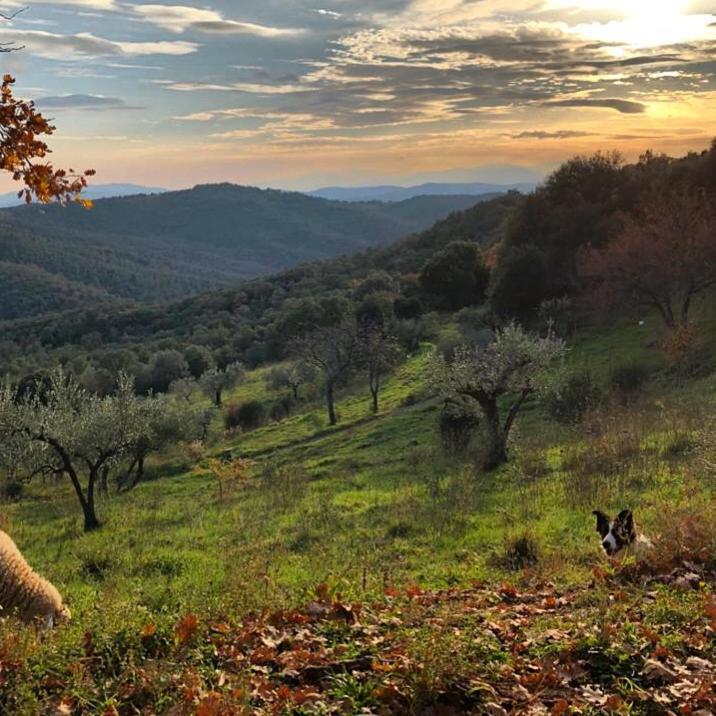 Nocini Di Maremma Villa Tatti Exterior foto